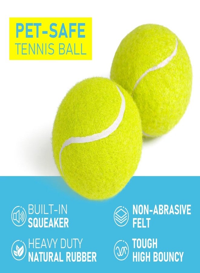 Prime Pets Tennis Balls for Dogs 3 Pack 2.5”, Durable Dog Toys for Training, Fetch & Outdoor Play, Squeaky Balls for Dogs Small and Medium with High Bounce, Interactive Pet Fetch Ball - Image 3