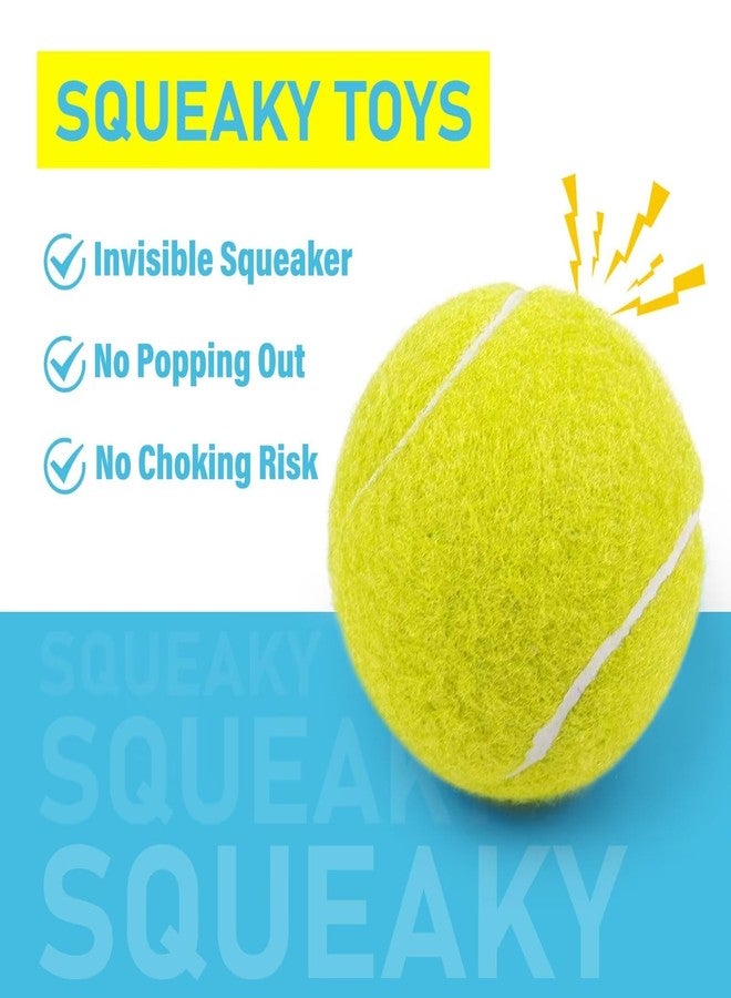 Prime Pets Tennis Balls for Dogs 3 Pack 2.5”, Durable Dog Toys for Training, Fetch & Outdoor Play, Squeaky Balls for Dogs Small and Medium with High Bounce, Interactive Pet Fetch Ball - Image 2