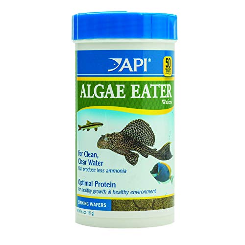 API ALGAE EATER WAFERS Algae Wafer Fish Food 6.4-Ounce Container - Image 1