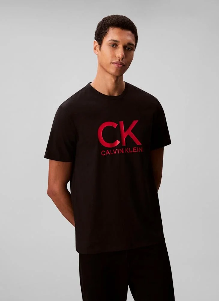 Calvin Klein Jeans 30S Graphic Crew Neck T-Shirt