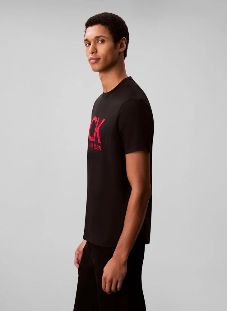 Calvin Klein Jeans 30S Graphic Crew Neck T-Shirt