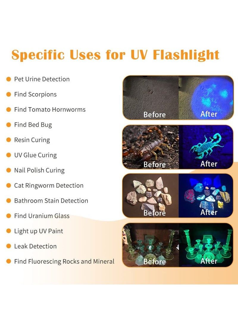 Blacklight UV Flashlight, 21 LED, 395nm, Portable Black Light for Pet Urine Detection, Scorpion, Resin Curing, Bed Bug Detection, Nail Art - Image 2