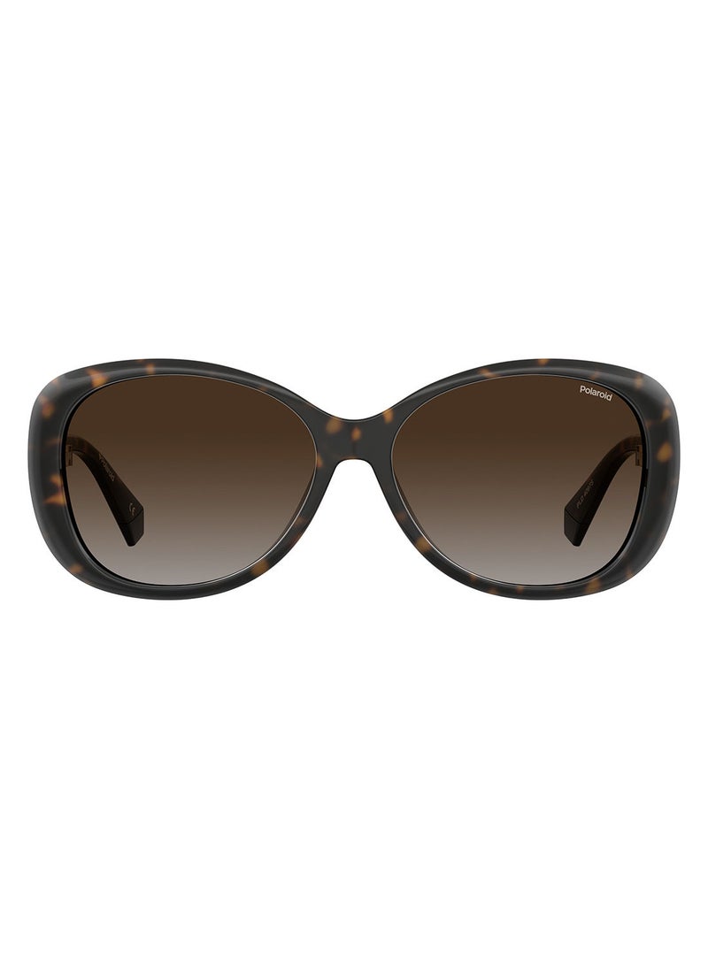 Polaroid Polarized Round Eyewear Sunglasses PLD 4097/S      HVN 58 - Image 2