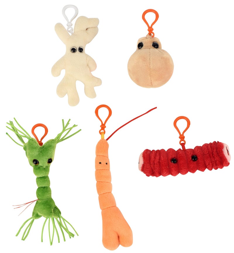 GIANT MICROBES Body Cells Themed Gift Box, Biology Gifts, Science Teacher Gifts, Cell Biology, Cell Plush, Bag Charms - Image 2