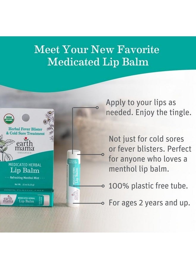 Earth Mama Earth Mama Medicated Herbal Lip Balm | Organic Lip Balm with Menthol for Fever Blister & Cold Sore | Refreshing Menthol Mint Lip Care, 0.15 oz  - Image 2