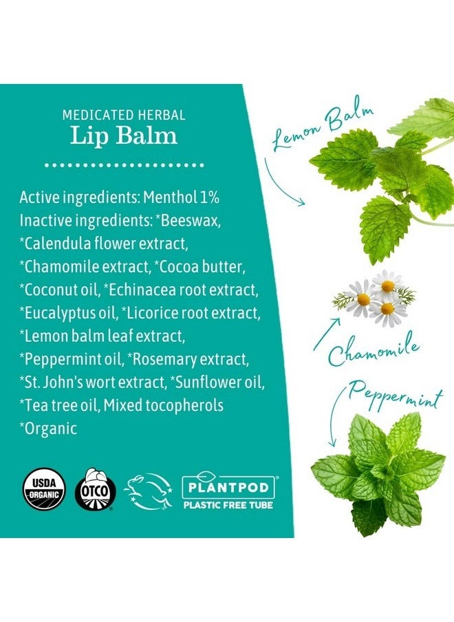Earth Mama Earth Mama Medicated Herbal Lip Balm | Organic Lip Balm with Menthol for Fever Blister & Cold Sore | Refreshing Menthol Mint Lip Care, 0.15 oz  - Image 5