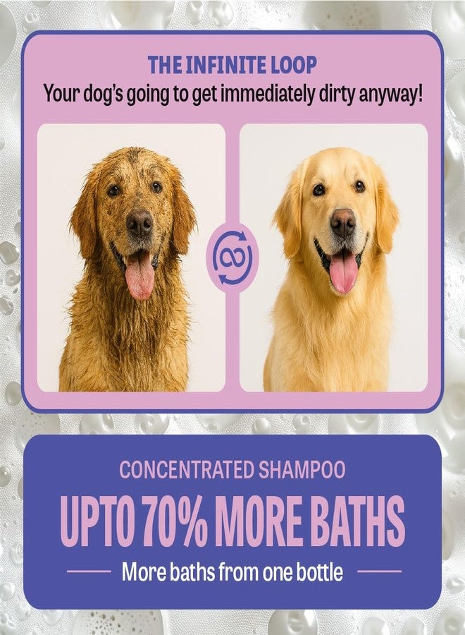 Petcrux Lavender Dog Shampoo 1000ml - Sulphate & Paraben Free - Four in One with Goodness of Lavender, Chamomile & Coconut - for All Types of Dog Golden Retrievers, Labradors, German Shepherds - Image 5
