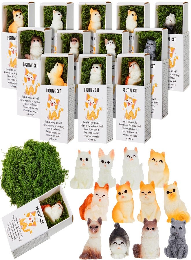 Cinnvoice 12 Sets Positive Cat Gifts Mini Resin Figurines with Boxes Cat Lover Gifts for Women Coworker Employee Staff Friends Office Appreciation Decor Cute Miniature Ornaments - Image 1