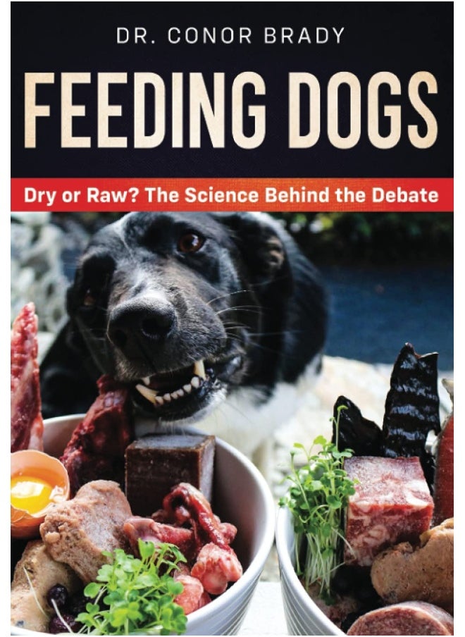 Feeding Dogs Dry Or Raw? The Science Behind The Debate  - Image 1