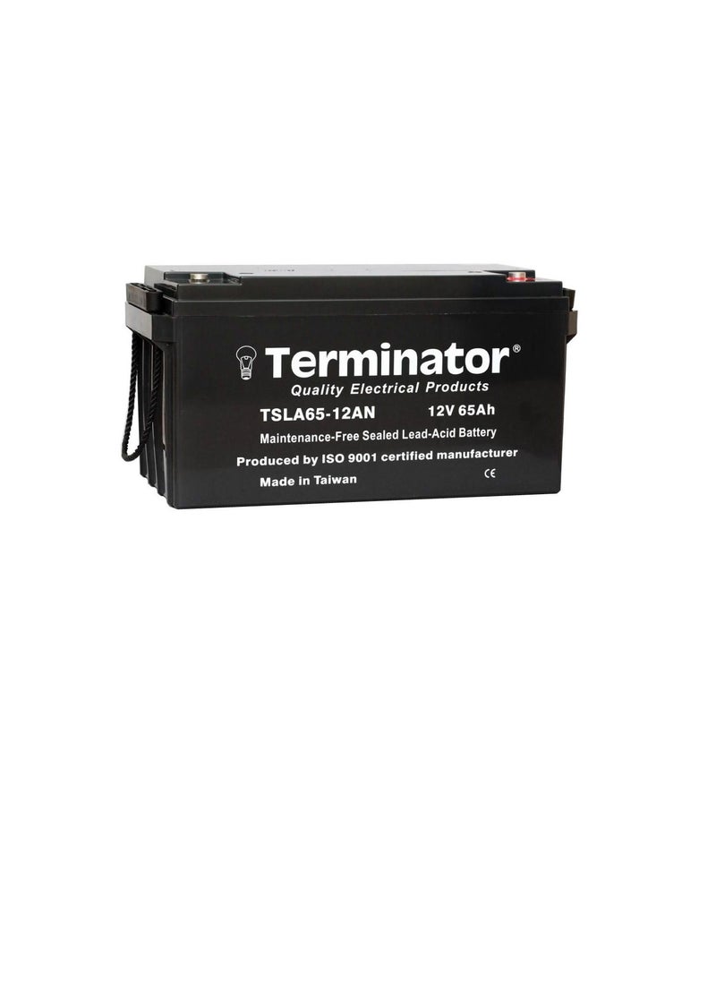 Terminator Terminator Sealed Lead Acid Battery 12V-65Ah TSLA 65-12AN  - Image 1