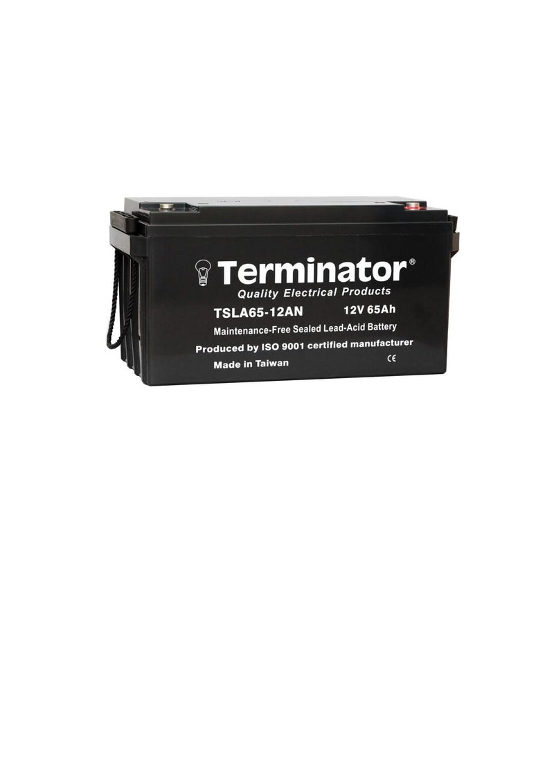 Terminator Terminator Sealed Lead Acid Battery 12V-65Ah TSLA 65-12AN  - Image 2