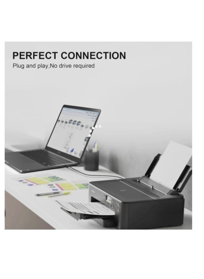 Terabyte USB 2.0 A-B PRINTER CABLE-3M - Image 2