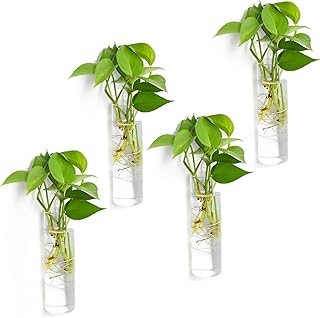 Vumdua Vumdua Wall Hanging Planters, 4 PCS Glass Planters Hanging Glass Terrarium, Glass Plant Containers Wall Vase Perfect  - Image 1