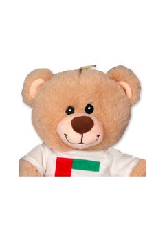 Cuddles - Bear UAE Plush Toys 50th Year Anniversary  10-Inch - Huggable and Cuddly Teddy Bear for Kids and Adults - pzsku/Z695A0008EA66E7469319Z/45/_/1689749003/efc44ac5-f328-4ac2-83cd-cfee19389f35