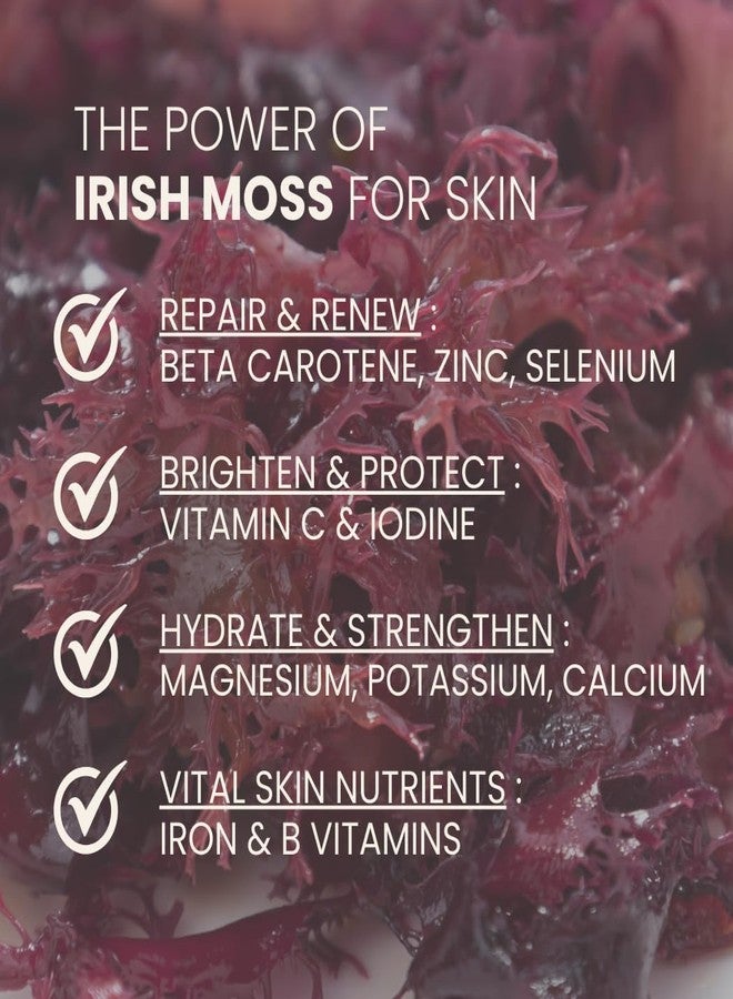 Ahimsa Irish Moss Body Wash | Revitalizing Spearmint & Ginger | Antioxidant Rich, Gentle Clean | Vegan, Sustainable - Image 2