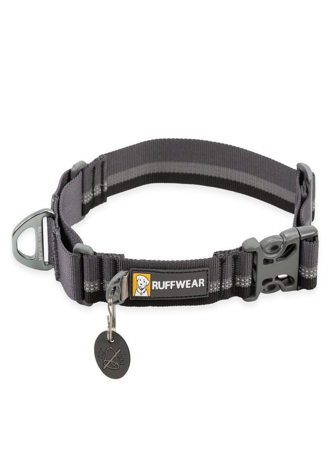 Ruffwear, Web Reaction Dog Collar, Escape-Proof Security Buckle, Adjustable Anti-Slip Martingale Collar with Durable Nylon Tubelok Webbing & Silent ID Attachment, Basalt Gray, 23"-26" - Image 1