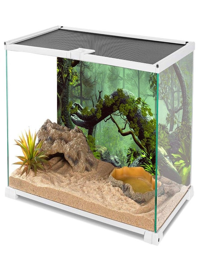 AWERT 30x18 inches Foggy Forest Terrarium Background Stone Green Tree Tropical Reptile Habitat Background Rainforest Aquarium Background Durable Polyester Background - Image 3