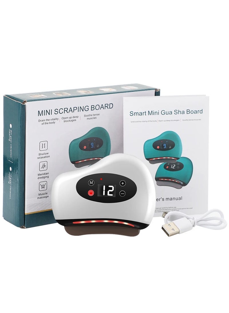 DubaiGallery أداة كشط الوجه الكهربائية الذكية لوح كشط الحجر فرشاة المسارات ماكينة تدليك الجمال للوجه جهاز تنظيف ساخن بدرجة حرارة ثابتة - Image 4