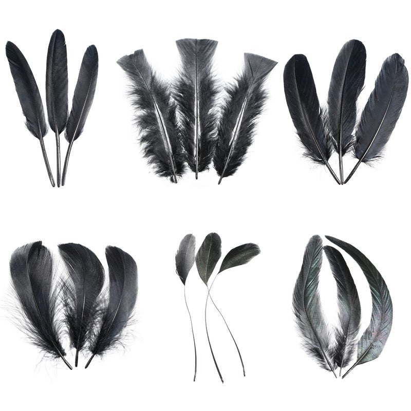 Larryhot Black Craft Feathers Bulk  240pcs 6 Style Mixed Natural Feathers for Wedding Home Party Dream Catcher Supplies and DIY Crafts Black