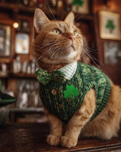 Cute-Patch Shamrock Irish Clover Embroidered Iron on Patches for St. Patrick's Day Shirt - Image 5