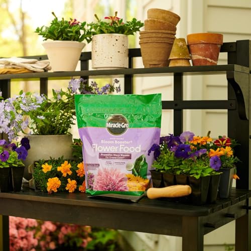 Miracle-Gro Water Soluble Bloom Booster Flower Food, Plant Food for Annual and Perennial Flowers, In-Ground and Container Plants, Roses, Hydrangeas, Hibiscus, 5.5 lb. - Image 5