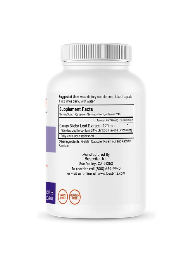 BESTVITE - Ginkgo Biloba 120Mg (240 Capsules) No Stearates Non Gmo Gluten Free Standardized To 24% Ginkgo Flavone Glycosides - Image 1