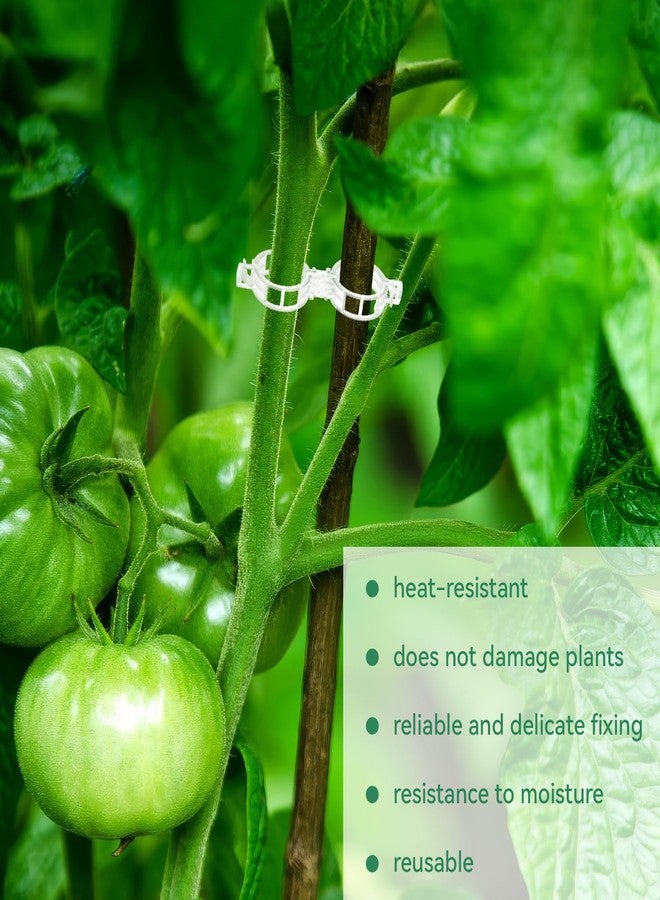 PEASUG 150 Pcs Plastic Trellis Plant Support Clips Plant Fixing Clips for Climbing Plants, Garden Clips for Support, Grape and Tomato Vine, Vegetables Plants(White) - Image 4