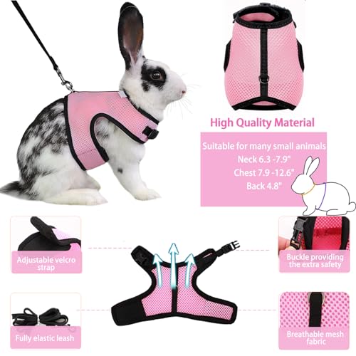CUTENNIOU Small Pet Carrier Backpack Rabbit Carrier with Harness Vest Stretchy Elastic Leash Large Breathable Pet Carrier Airline Approved for Bunny Guinea Pig Ferret Hedgehog Kitten Travel Walking - Image 4