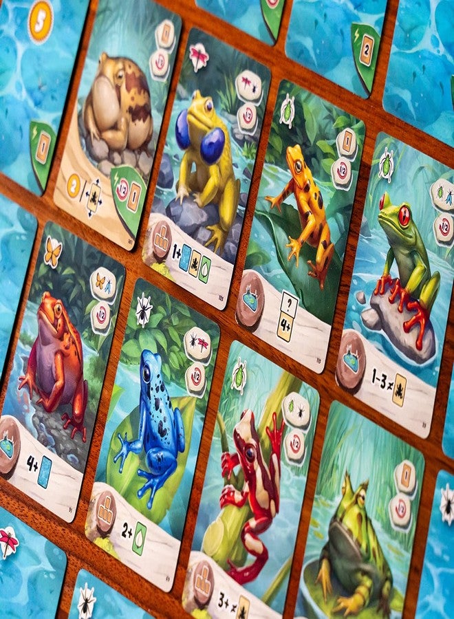 Capstone Games Pondscape, Cozy Family Strategy Card Game for Kids and Adults - for 1-4 Players, Ages 8+ - Family Games Night Essential - Image 4