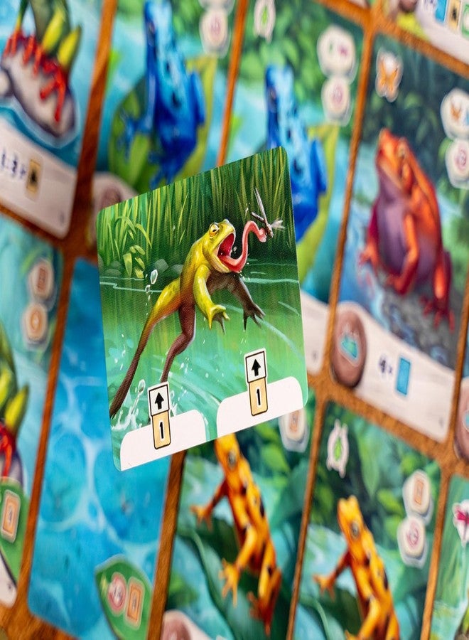 Capstone Games Pondscape, Cozy Family Strategy Card Game for Kids and Adults - for 1-4 Players, Ages 8+ - Family Games Night Essential - Image 3