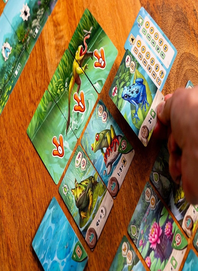 Capstone Games Pondscape, Cozy Family Strategy Card Game for Kids and Adults - for 1-4 Players, Ages 8+ - Family Games Night Essential - Image 5