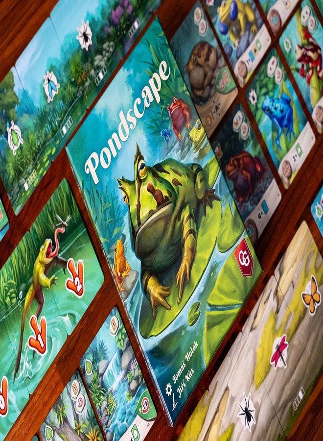 Capstone Games Pondscape, Cozy Family Strategy Card Game for Kids and Adults - for 1-4 Players, Ages 8+ - Family Games Night Essential - Image 2