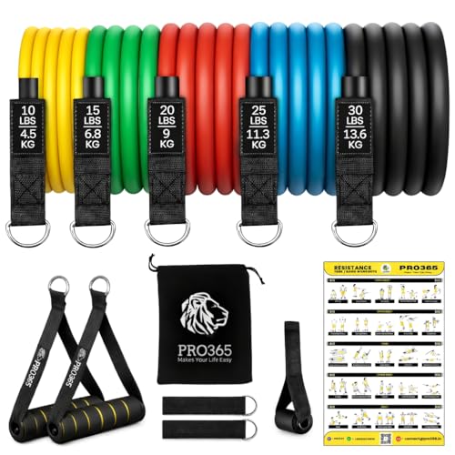 PRO365 Premium Resistance Bands | Visible 100 Lbs Adjustable | Full Set | Thickened Door Anchor | Soft Cushioned Handles | Ankle Straps | Carry Bag | Instruction Manual | 6 Months Warranty - Image 1