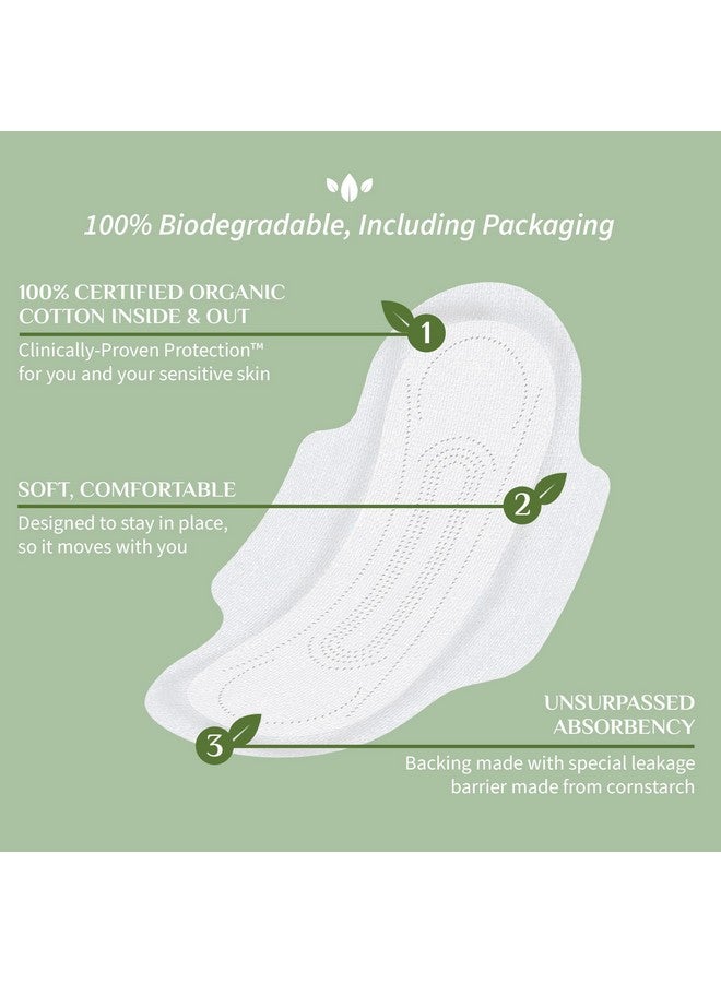 Organyc 100% Certified Organic Cotton Feminine Pads, Sanitary Napkin, Heavy Flow, 10 Count - Image 5