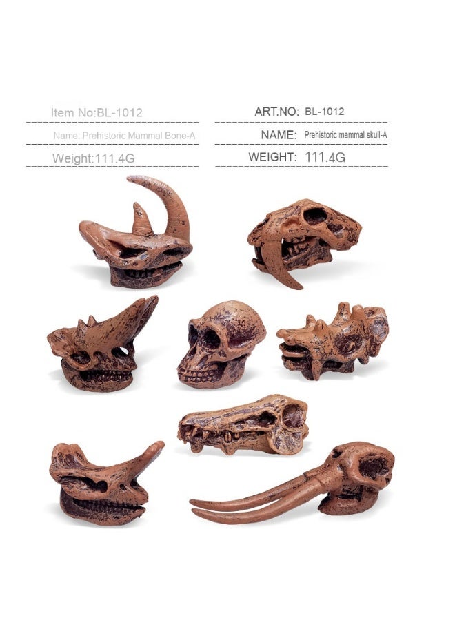 NIBEMINENT Children's Early Education Cognitive Fossil Toys - Wild Prehistoric Mammal Dinosaur Skull Model