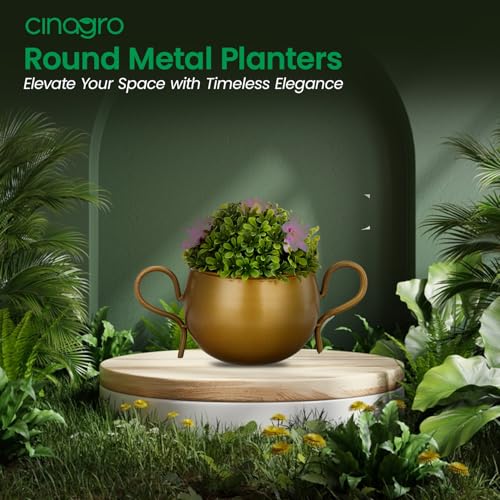 CINAGRO Metal Flower Vase Planter Pot, Pots for Plants, Plant Pots for Home Decoration, Succulent Pot, Indoor Planter Garden Decor Style: Petal Palette - Image 2