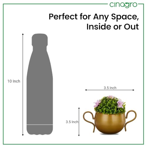 CINAGRO Metal Flower Vase Planter Pot, Pots for Plants, Plant Pots for Home Decoration, Succulent Pot, Indoor Planter Garden Decor Style: Petal Palette - Image 4
