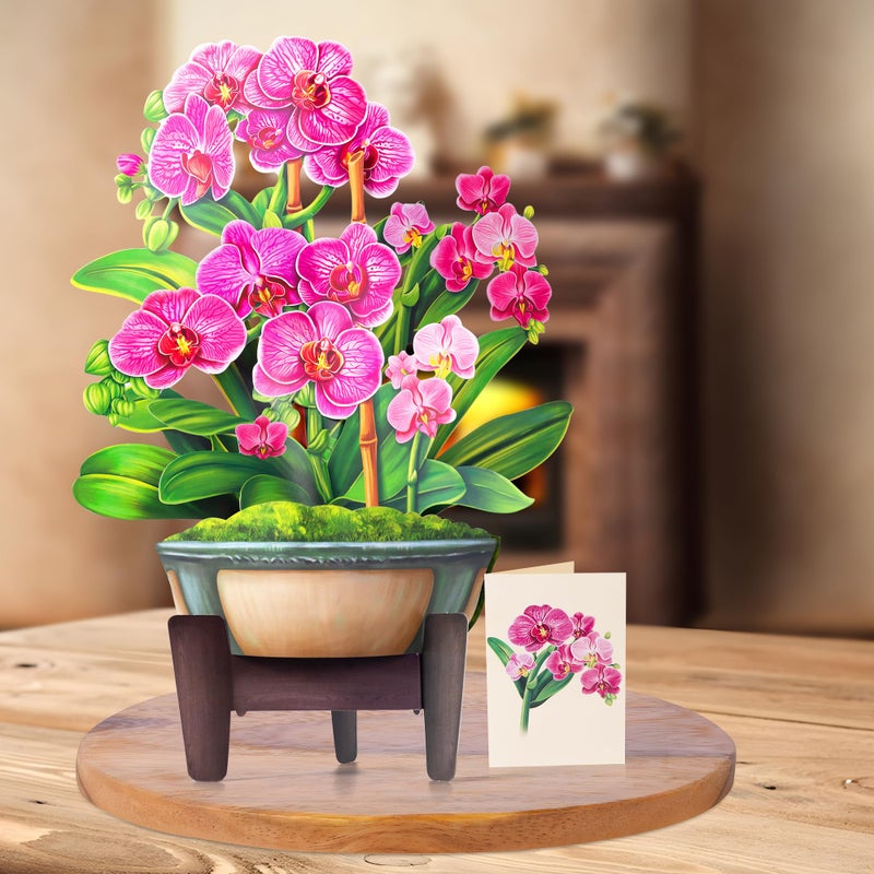 Airpark Pop Up Flower Card, 3D Paper Flowers Bouquet, Birthday, Thank You, Get Well Greeting Cards with Note Card & Envelope, Orchids - Image 2