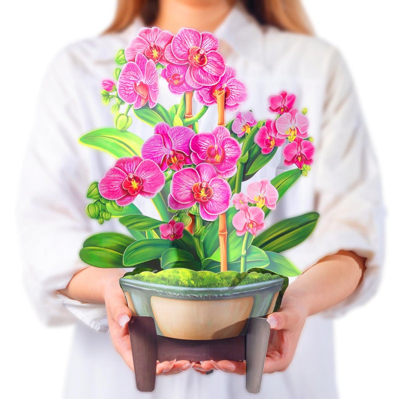 Airpark Pop Up Flower Card, 3D Paper Flowers Bouquet, Birthday, Thank You, Get Well Greeting Cards with Note Card & Envelope, Orchids - Image 1
