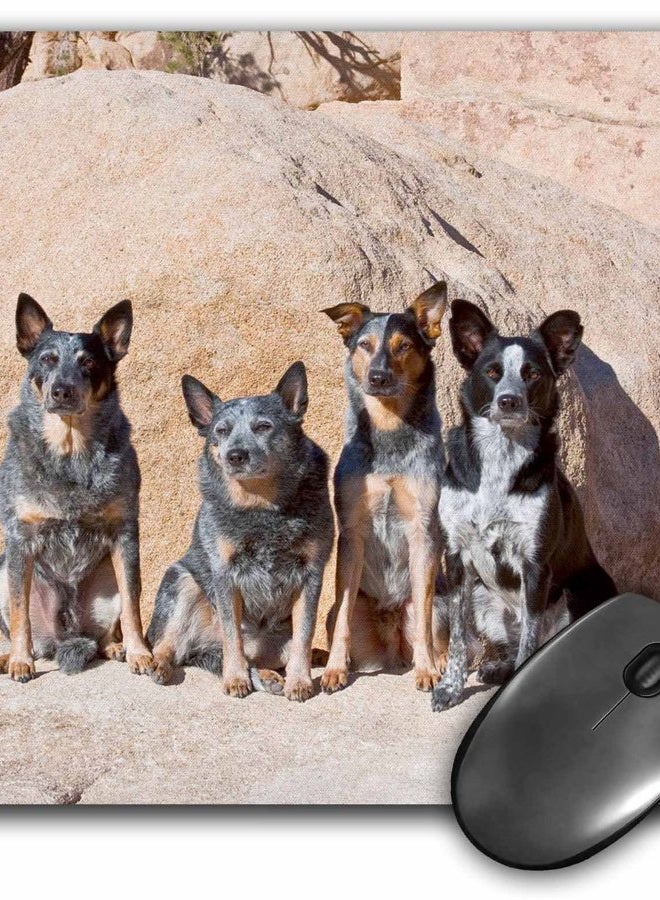 3DROSE LLC 8 x 8 x 0.25 Inches Mouse Pad, Four Australian Cattle Dogs Zandria Muench Beraldo (mp_88793_1) - Image 3