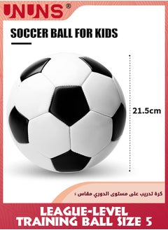 Soccer Balls Size 5,Soccer Training Ball Practice For Kids Teens Adults,Classic Black White Sports Football With Ball Pump And Net Bag,Indoor Outdoor Soccer Ball,Double Layer Anti-Explosion Football - pzsku/Z6975E919BBC6E3D91EF0Z/45/_/1722421301/769614bc-9571-4fe4-80a8-57c1562f747d