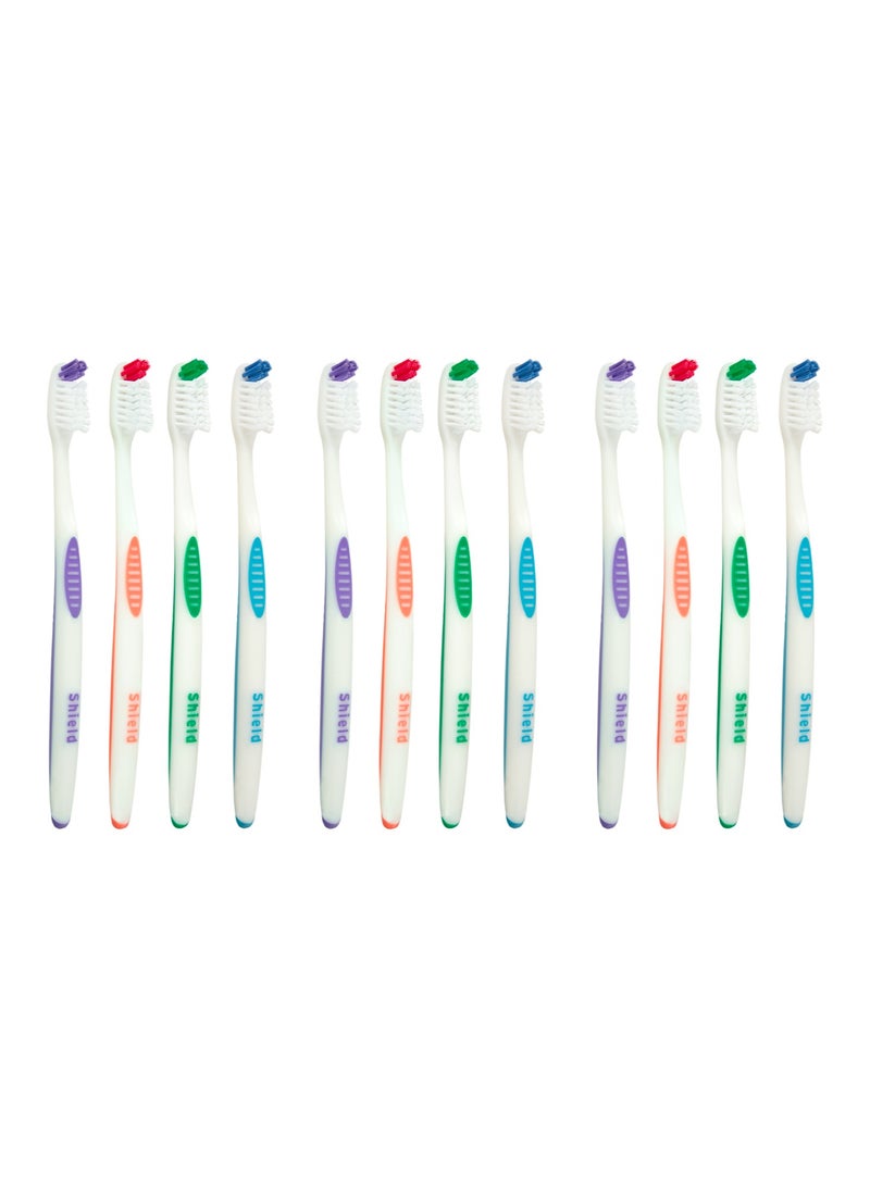 Shield Care Falcon Toothbrush with Curved Filaments, Deep Reach (Family Care - Medium Bristles), 4 Colors - 12 Count (Pack of 1) - Image 1