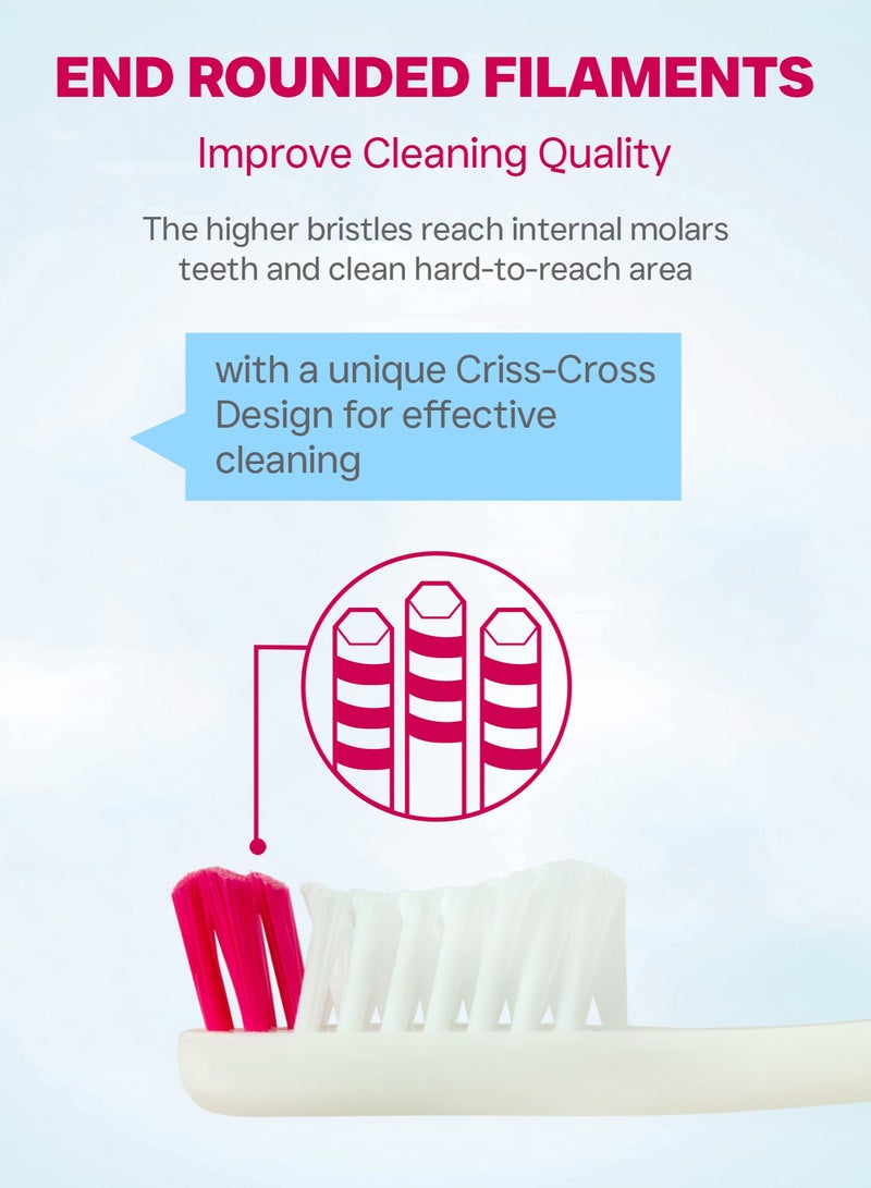 Shield Care Falcon Toothbrush with Curved Filaments, Deep Reach (Family Care - Medium Bristles), 4 Colors - 12 Count (Pack of 1) - Image 2