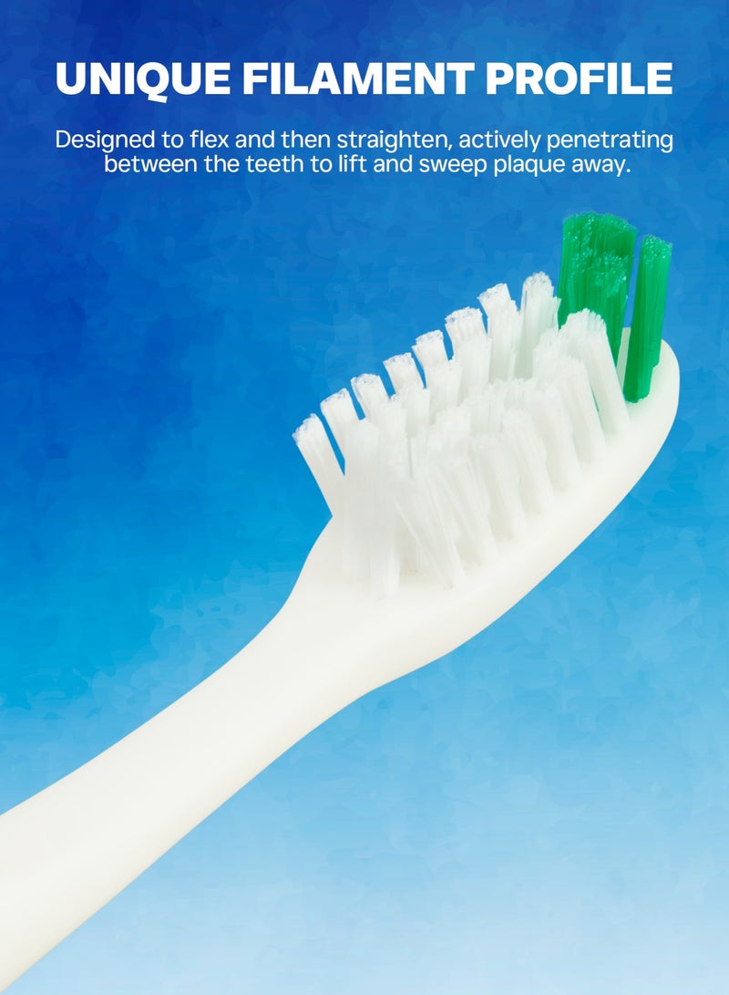 Shield Care Falcon Toothbrush with Curved Filaments, Deep Reach (Family Care - Medium Bristles), 4 Colors - 12 Count (Pack of 1) - Image 4