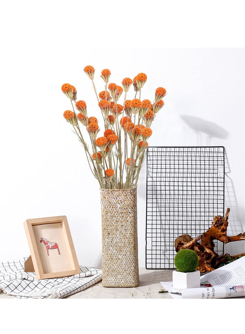 Fall Dried Flower, 40pcs CrossMedia Billy Button Balls Flowers Orange Dried Flowers Bulk for Autumn Home Vase Kitchen DIY Wedding Table Decor - Image 2