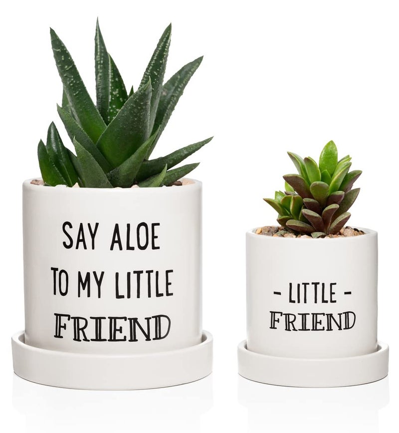 Laila and Lainey Aloe Pot and Succulent Planter  Set of Two  Funny Housewarming Gift  Plants Not Included 
