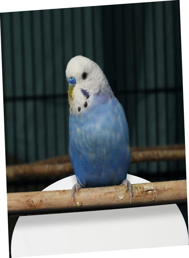 BESPORTBLE 100pcs Bird Cage Liners Disposable Parrot Paper Cushion Mats Absorbent Safe and Breathable Bottom Pads for Bird Cage Cleaning and Maintenance - Image 4