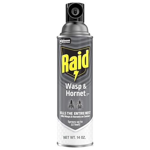 Raid Wasp and Hornet Killer Spray, Kills the entire nest, Kills Paper Wasps, Yellow Jackets, Mud Daubers and more, 14 oz (Pack of 12) - Image 1