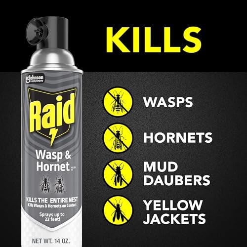 Raid Wasp and Hornet Killer Spray, Kills the entire nest, Kills Paper Wasps, Yellow Jackets, Mud Daubers and more, 14 oz (Pack of 12) - Image 2