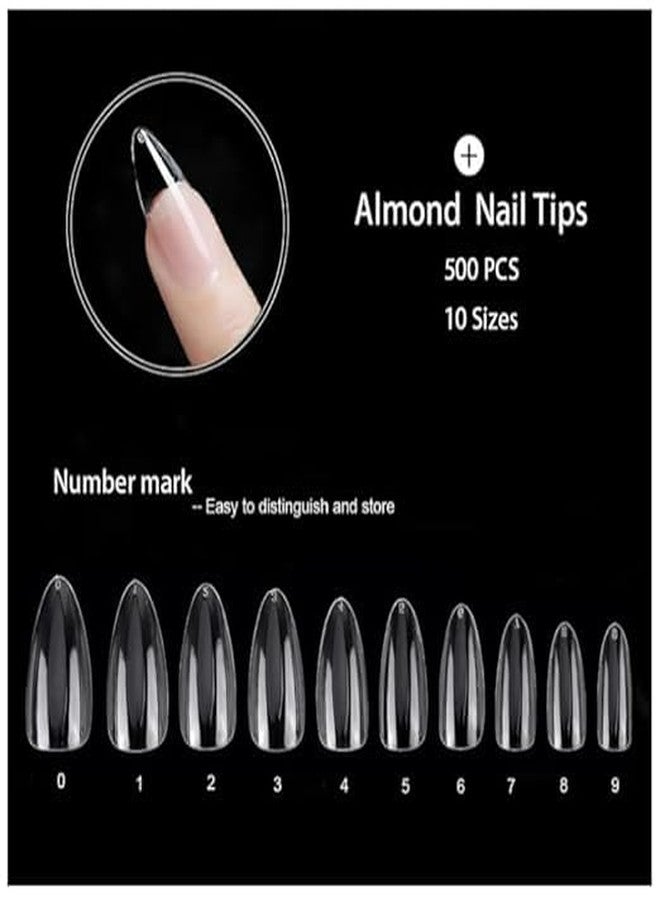 Bolt Bee 500Pcs Medium Almond Fake Nail Tips Clear | Full Cover Press On Acrylic Nails with Case | 10 Sizes for Perfect Fit | False Nail Tips for DIY Nail Art & Salon Use | Durable & Easy to Shape (Clear) - Image 3
